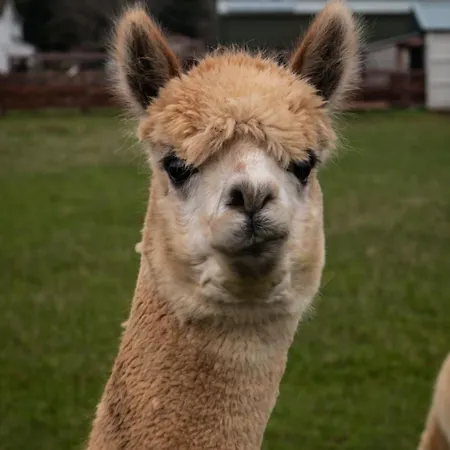 Hidden Acres- With Double & Single Bed, 3* Malahide