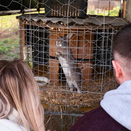 Hidden Acres- With Double & Single Bed, Malahide