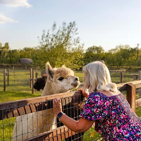 Πανσιόν Hidden Acres- With Double & Single Bed, Malahide