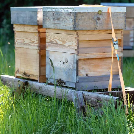 Πανσιόν Hidden Acres- With Double & Single Bed, 3*