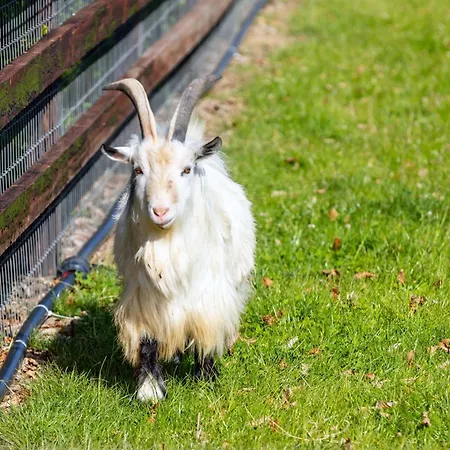 Hidden Acres- With Double & Single Bed, Malahide