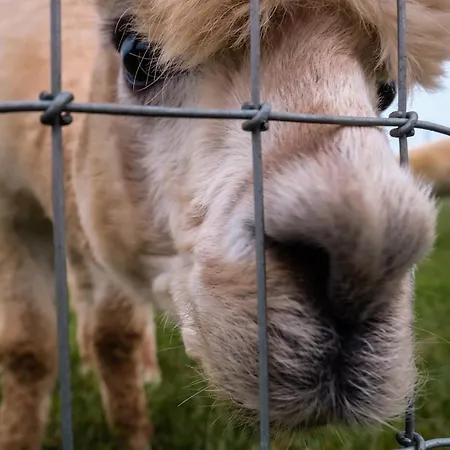 Hidden Acres- With Double & Single Bed, 3*