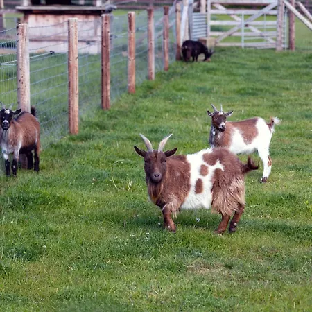 Hidden Acres- With Double & Single Bed, 3*