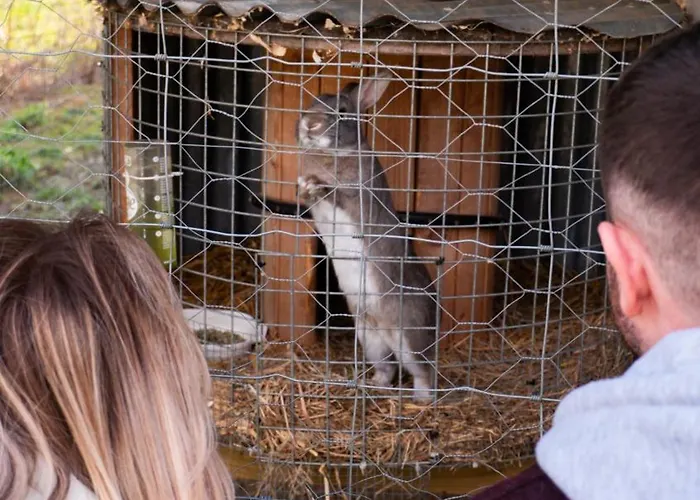 Hidden Acres- With Double & Single Bed, Малахайд