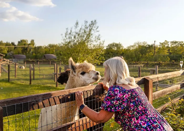 Гостевой дом Hidden Acres- With Double & Single Bed, Малахайд