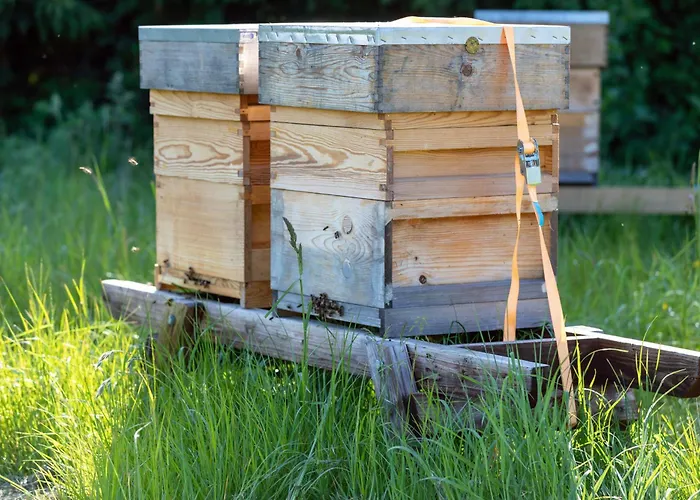 Gæstehus Hidden Acres- With Double & Single Bed, 3*