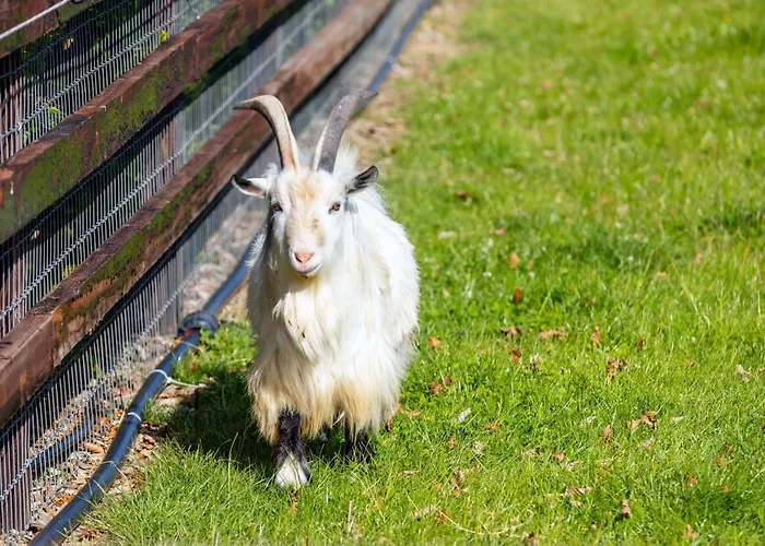 Hidden Acres- With Double & Single Bed, Малахайд