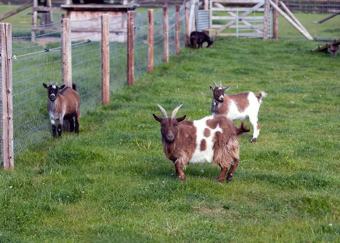 Hidden Acres- With Double & Single Bed, 3*