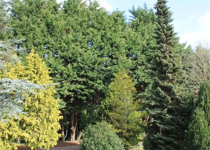 Гостевой дом Hidden Acres- With Double & Single Bed, Малахайд